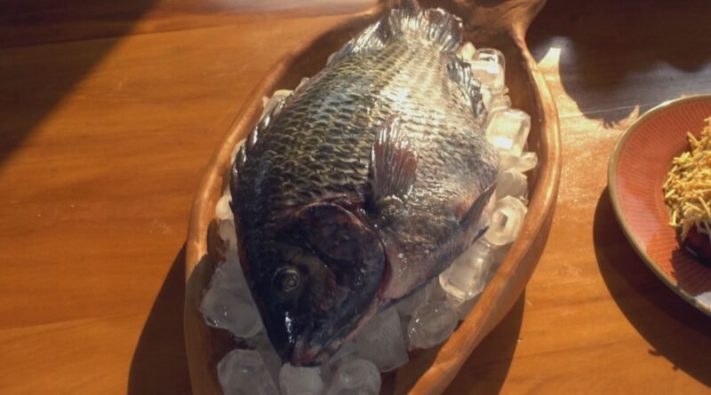 Tarifa americana sobre tilápia brasileira pode reduzir preço do peixe no Brasil