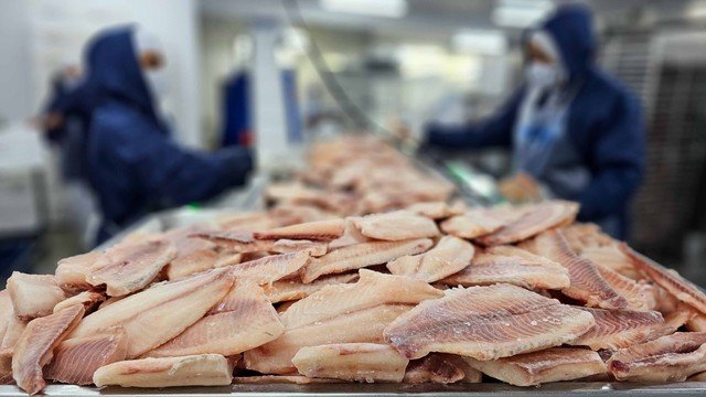 Tarifa de Trump: Associação de Pescados dos EUA defende produto brasileiro em audiência