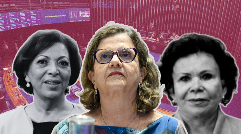 Teresa Leitão assume a liderança do governo no Senado como a primeira mulher a ocupar o cargo