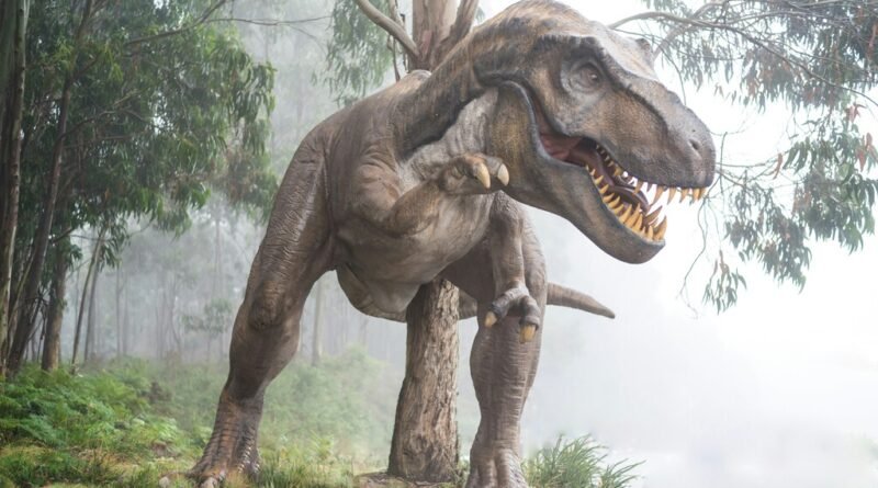 Tiranossauro rex levava 40 anos para alcançar a idade adulta, revelam pesquisadores