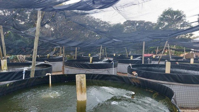 União Europeia considera reabertura do mercado para pescados do Brasil