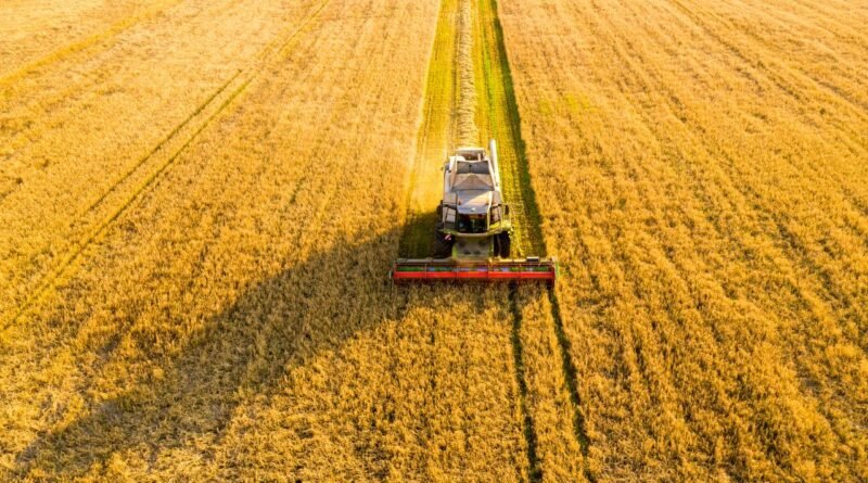 Banrisul aumenta crédito do Plano Safra e abre espaço para renegociação de dívidas