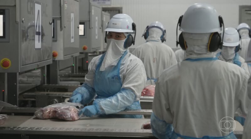 Brasil quase esgota cota de carne bovina para a China e diminui abates, aponta StoneX