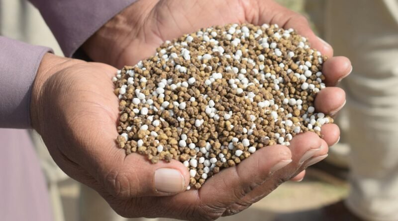 Crise dos fertilizantes em ano de El Niño pode elevar preços de arroz, café e trigo