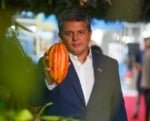 Dia do Chocolate destaca a história do fruto e sua relevância na cultura global
