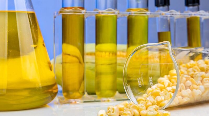 Etanol de milho impulsiona demanda e transforma mercado de cereal no Brasil