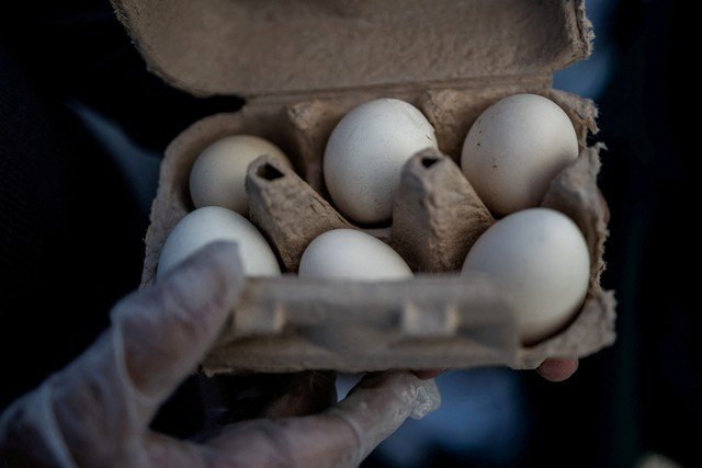EUA realizam recall de quase 1,6 milhão de dúzias de ovos devido a risco de salmonela