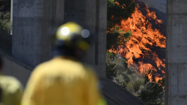 Europa sofre com nova onda de calor, incêndios e aumento nos preços dos alimentos