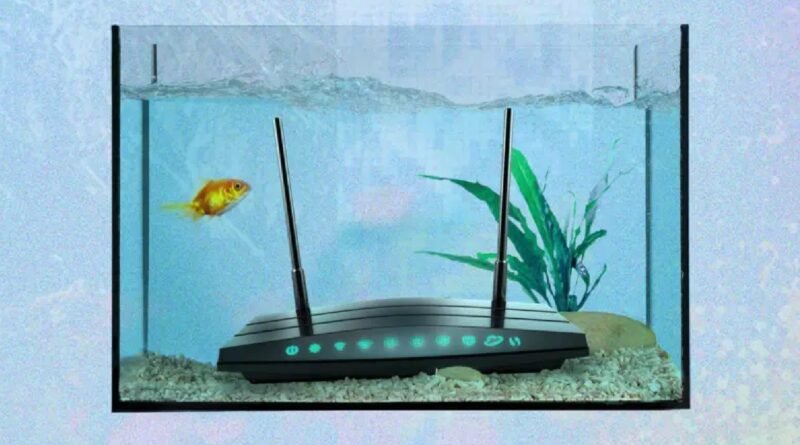 Fatores inusitados que podem comprometer a qualidade do sinal de wi-fi em sua residência