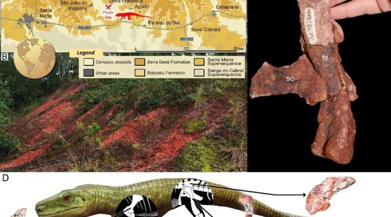 Fóssil de réptil descoberto no Brasil pode elucidar as origens compartilhadas de dinossauros e crocodilos