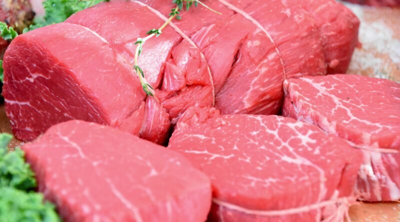 Governo brasileiro modifica normas de exportação de carnes para União Europeia em tentativa de evitar embargo