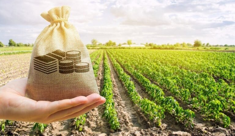 Governo divulga medida provisória para renegociação de dívidas rurais e define novos critérios de acesso a linhas de crédito