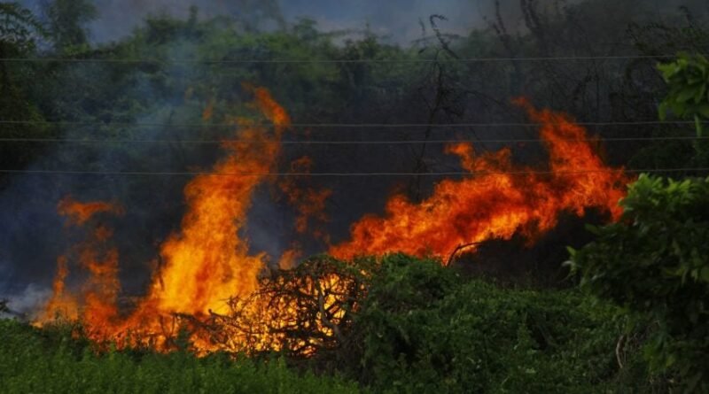 Incêndios florestais devastam mais de 17.000 hectares na Europa