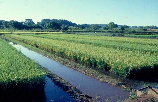 Licenciamento ambiental não é mais obrigatório no RS para projetos de irrigação superficial