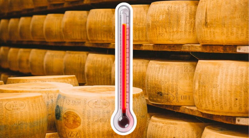 Queijo parmesão enfrenta ameaça de extinção por causa do aquecimento global