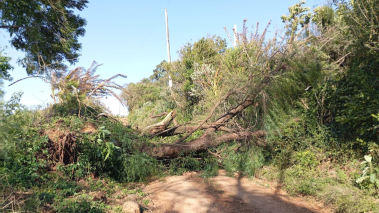 Tempestades afetam mais de 20 cidades no Rio Grande do Sul