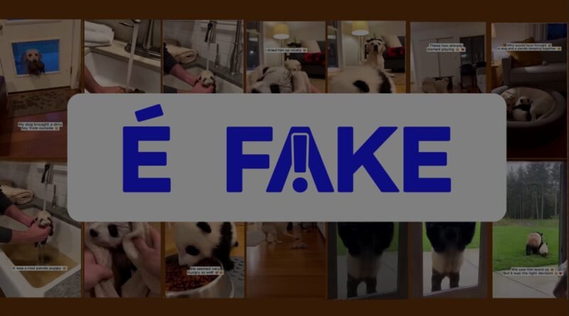Vídeo de cachorro com filhote de panda é falso; cena gerada por inteligência artificial