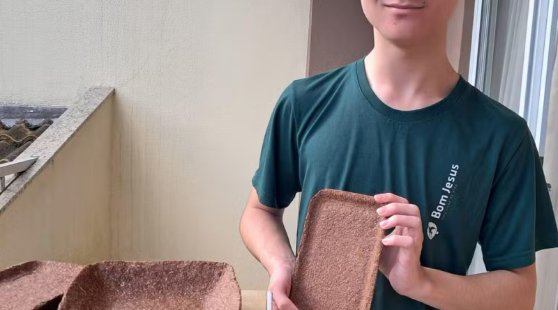 Adolescente brasileiro de 14 anos desenvolve solução biodegradável com casca de mandioca e galhos como alternativa ao isopor