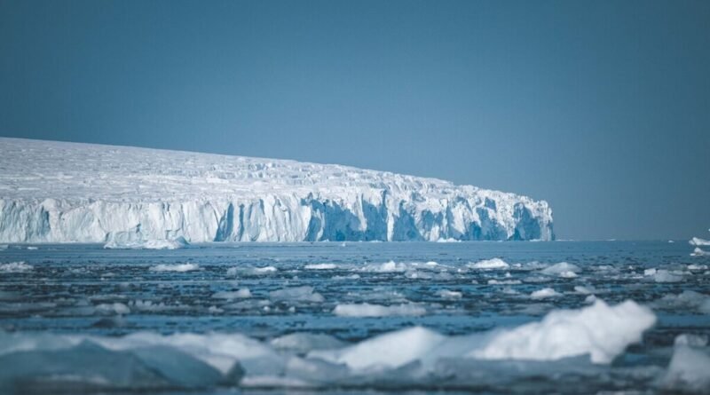 Cientistas descobrem 60 milhões de ninhos sob o gelo da Antártida, revelando a maior "cidade" de peixes do mundo