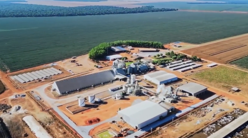 Contagem regressiva para a Abertura Nacional do Plantio da Soja 26/27; descubra como participar do evento