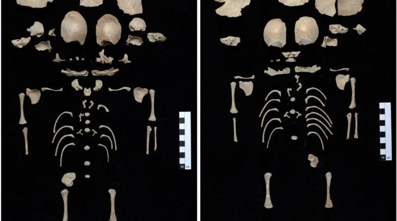 Descoberta revela que há 1.200 anos gêmeos foram protegidos em latrinas próximas ao Templo de Artemis