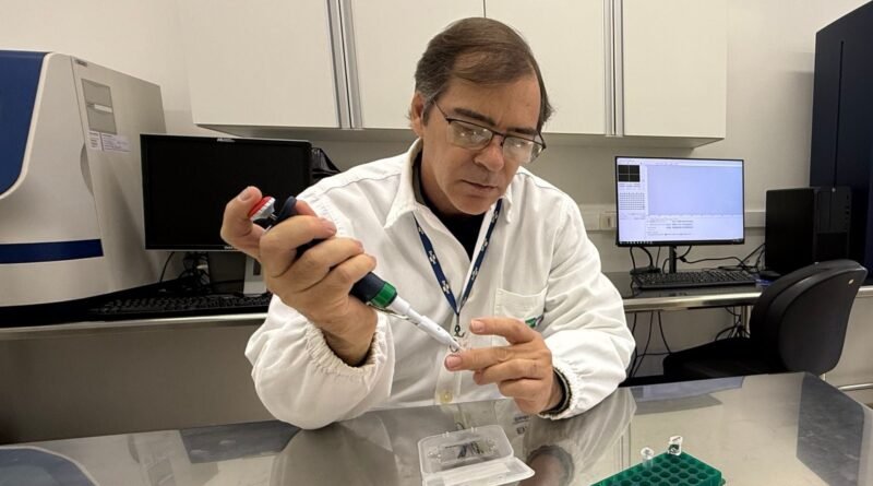 Embrapa desenvolve tecnologia para identificar carne de Nelore e Angus