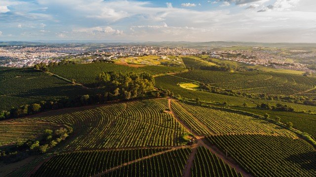 Estoques recordes e avanço do agronegócio brasileiro podem mitigar efeitos do super El Niño global