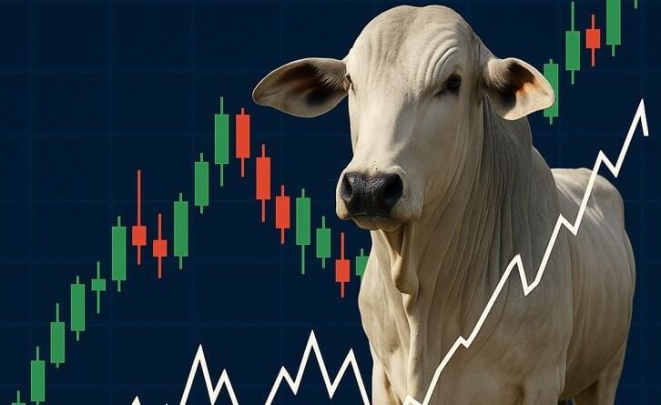 Expectativa de alta para arroba do boi gordo em setembro é reforçada por quatro fatores