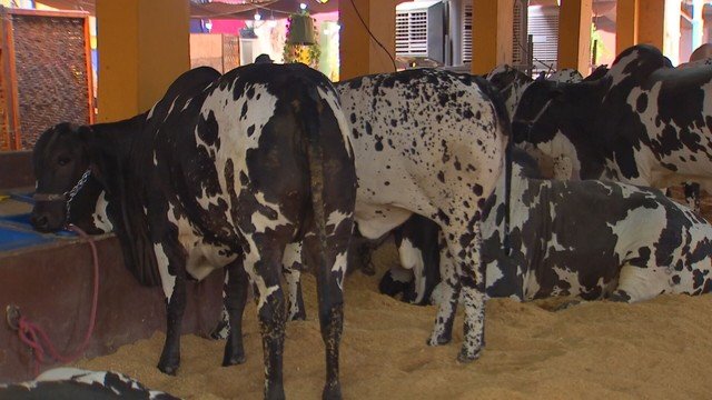 Expo Rio Preto recebe 50 mil visitantes na semana de abertura