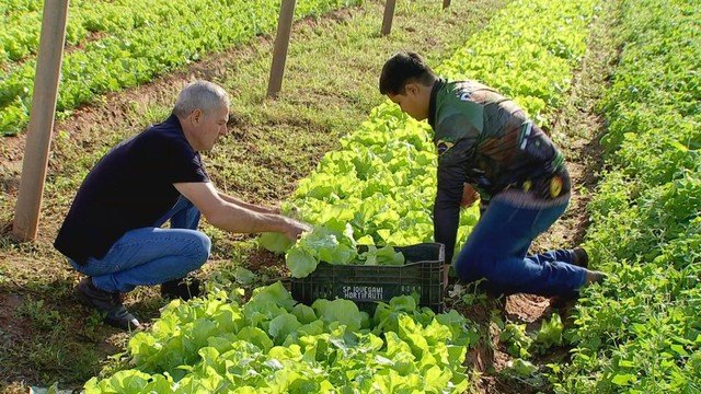 Família Roncoleta preserva tradição agrícola em Getulina por cinco gerações