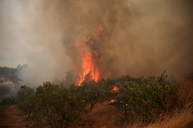Fumaça Negra Domina o Céu do Norte da Grécia Após Incêndio Florestal; ASSISTA AO VÍDEO