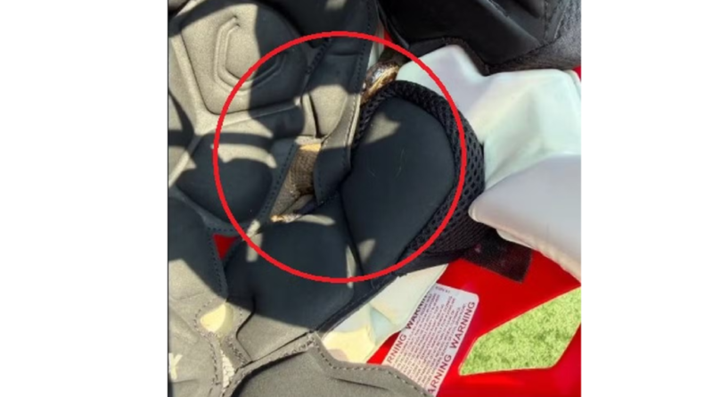 Jovem treina por uma hora com cobra venenosa escondida em capacete e vive experiência assustadora