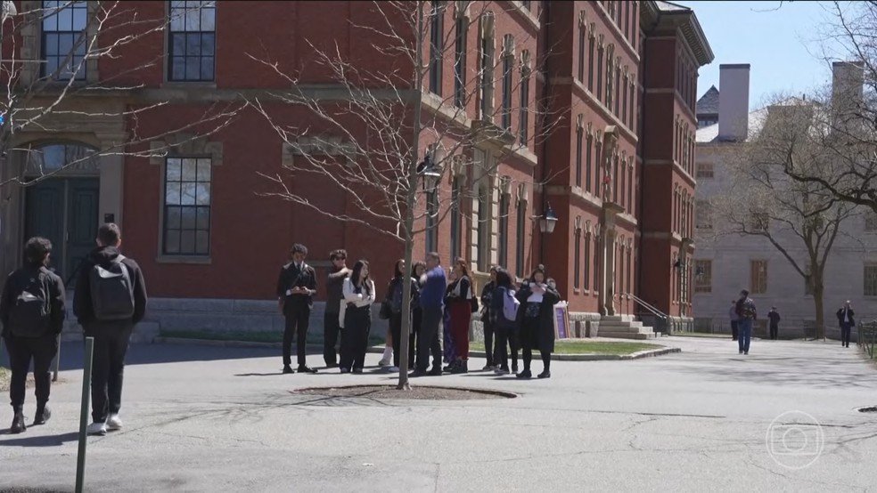 Harvard: batalha judicial entre Trump e a principal universidade dos EUA paralisa o trabalho de centenas de cientistas — Foto: Jornal Nacional/ Reprodução