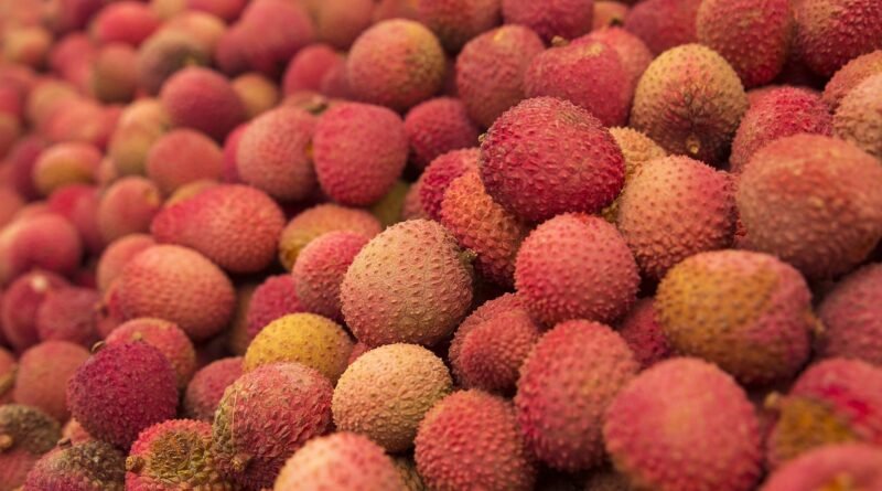 Mercado internacional expande oportunidades para produção de lichia em São Paulo