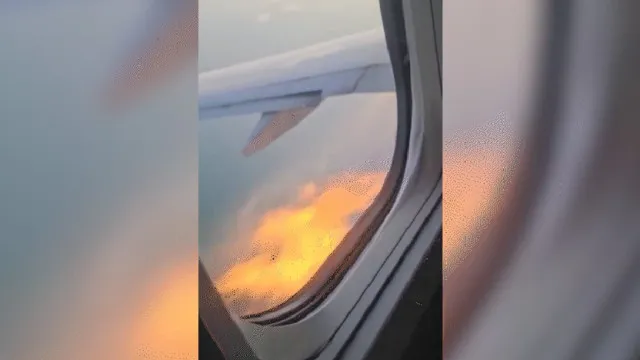 Motor de avião pega fogo durante voo após colisão com pássaro e vídeo registra o momento