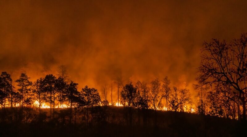 NASA revela impacto do El Niño na vida marinha do Pacífico através de imagens de satélite