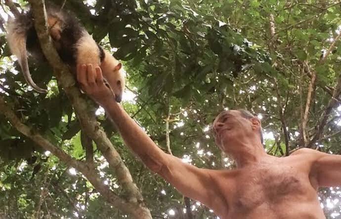 Ney Matogrosso, aos 85 anos, apresenta refúgio de 140 hectares em Saquarema e já reintroduziu mais de 10 mil animais silvestres na Mata Atlântica