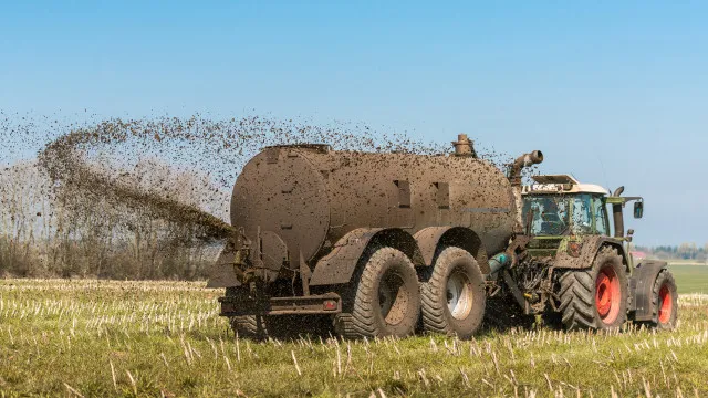Pai e filho perdem a vida após queda em tanque de chorume na Inglaterra