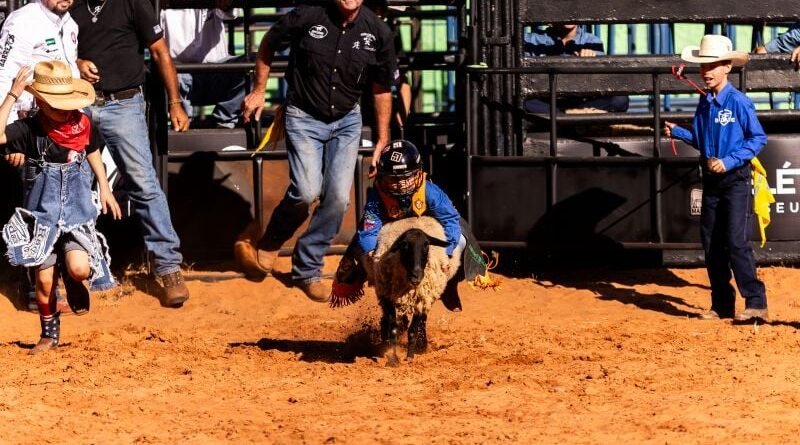Pedro Luiz, de 7 anos, conquista primeira eliminatória da montaria em carneiros