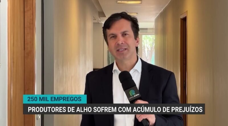 Produtores de alho no Brasil enfrentam crise que pode ameaçar 250 mil empregos