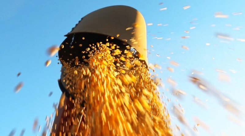 Produtores de soja no Brasil reduzem vendas e comércio enfrenta estagnação