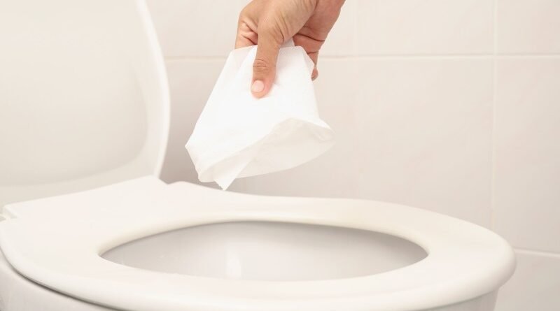 Projeto propõe fabricação de papel higiênico que se dissolve no vaso sanitário