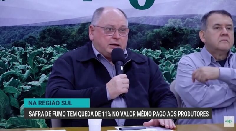 Queda no preço pago aos produtores de tabaco gera preocupação para a próxima safra
