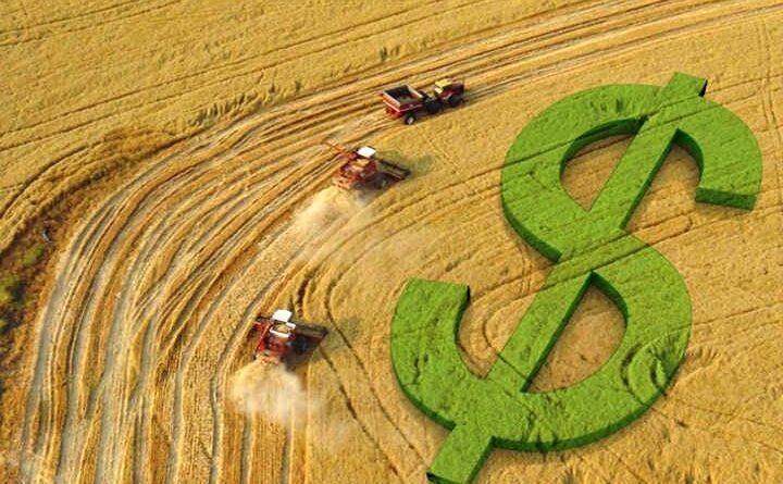 Soja registra alta no Brasil e em Chicago com mercado ativo na semana