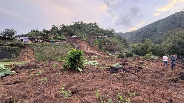 Terremoto impacta exportações de café da Colômbia e coloca embarques internacionais em risco