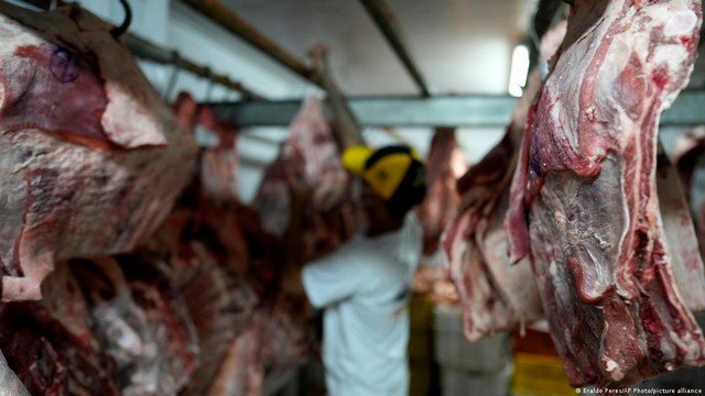 Trump avalia regulamentações da carne bovina em meio à oposição de produtores e presença de JBS e MBRF no setor