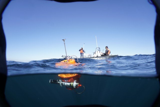 Calor recorde dos oceanos eleva preços de alimentos e impacta setor de turismo
