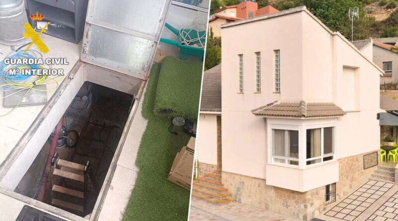 Casal adquire imóvel e encontra plantação de maconha deixada por antigos proprietários