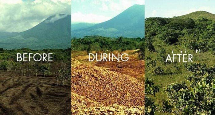 Cascas de laranja despejadas em área degradada em 1997 transformam paisagem 16 anos depois