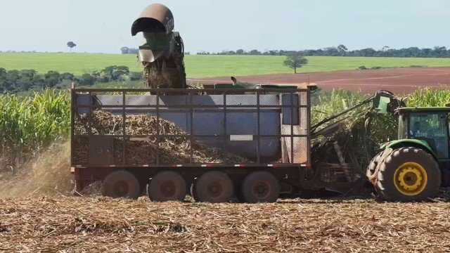 Chuvas atípicas elevam preços do etanol em São Paulo, mesmo com estoque robusto, aponta análise da USP